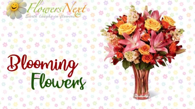 While many people use flowers to decorate their homes they are also one of the most popular items used to send as gifts.