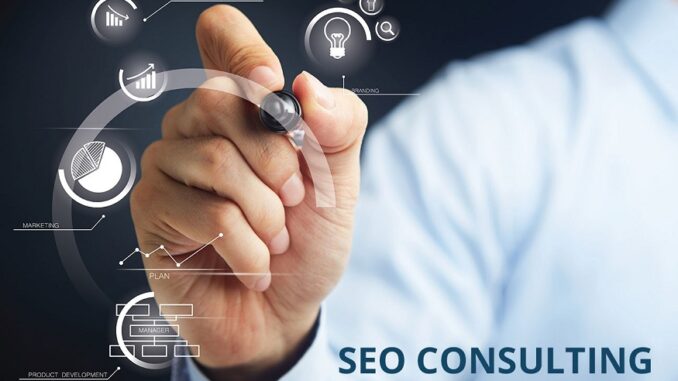 SEO consulting